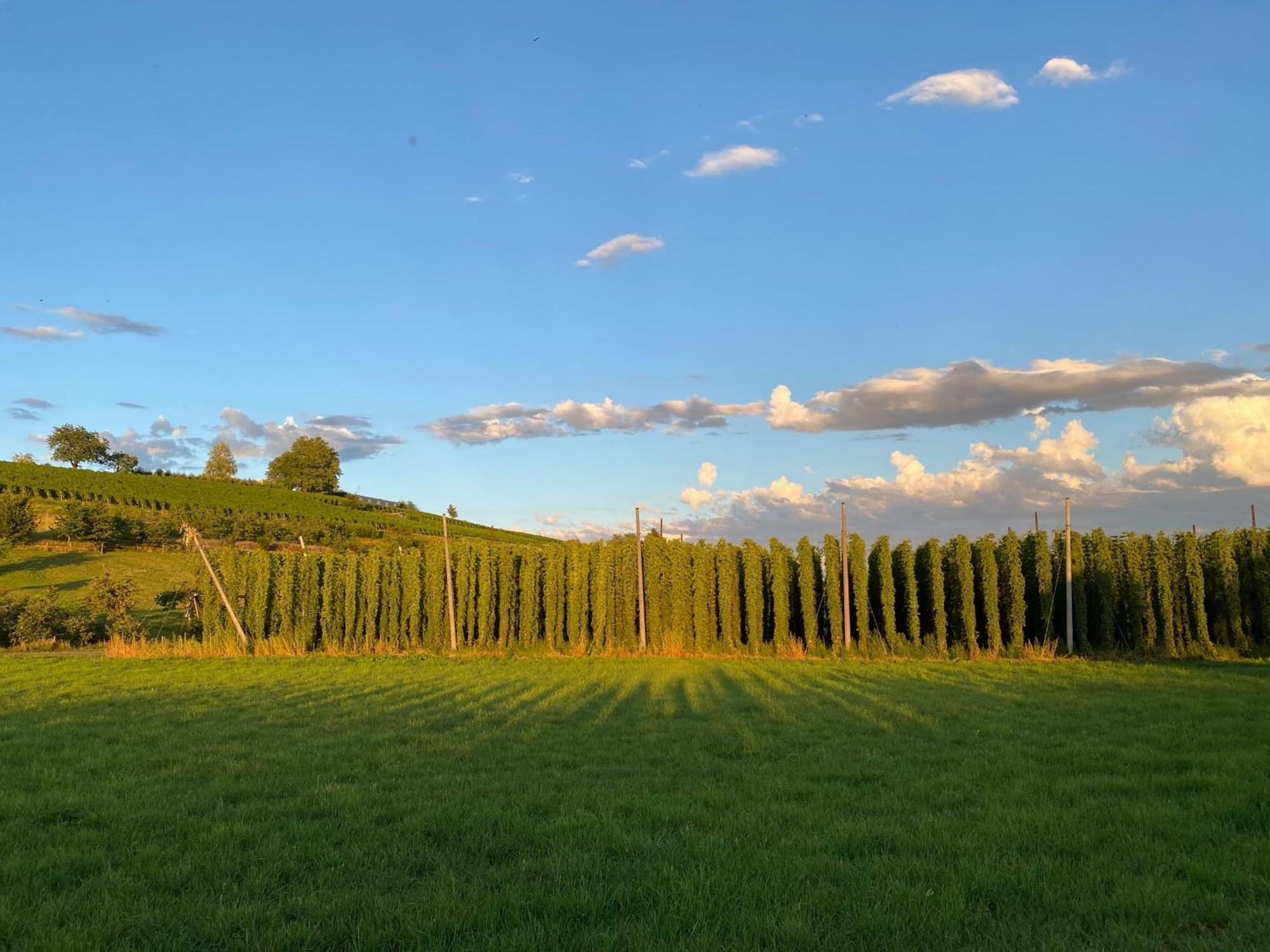 Beim Dorfbach - Die Hofchalets Kressbronn am Bodensee Buitenkant foto